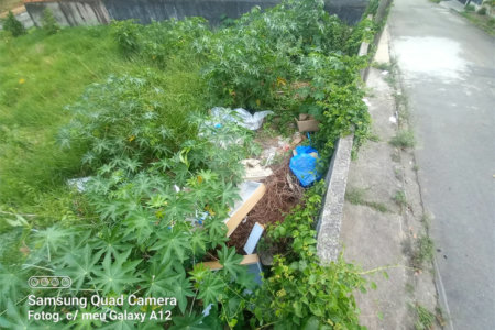 Terreno à venda em Vila Oliveira, Mogi das Cruzes, SP