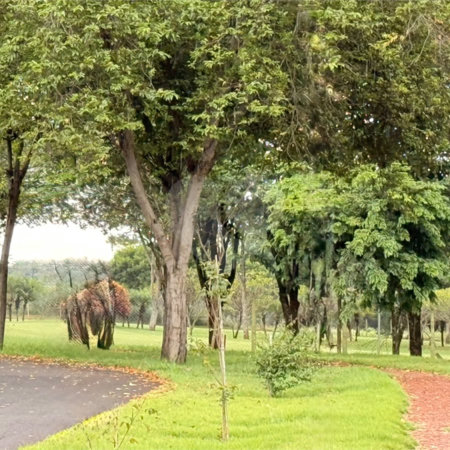 Terreno à venda em Vila do Golf, Ribeirão Preto, SP