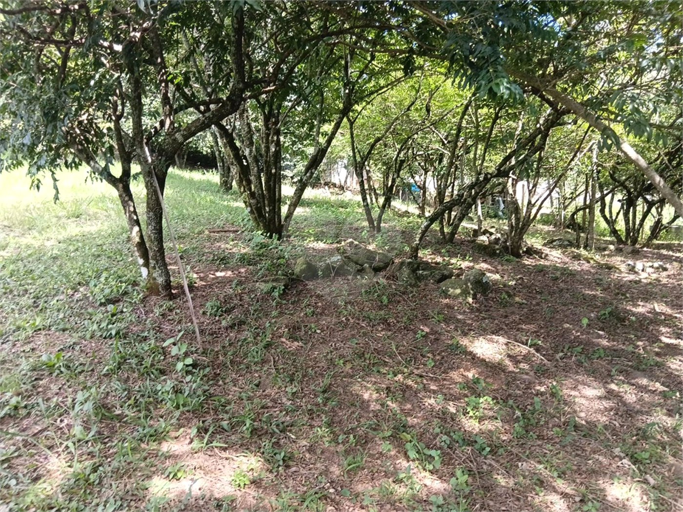 Terreno à venda em Planalto Verde, São Roque, SP