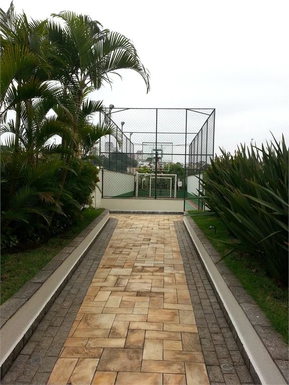 Cobertura à venda com 3 quartos, sendo 1 suíte, em Vila Ipojuca, São Paulo, SP