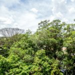 Apartamento à venda com 4 quartos, sendo 1 suíte, em Granja Julieta, São Paulo, SP