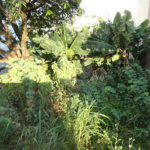 Terreno à venda em Vila São José, Valinhos, SP