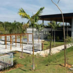 Casa à venda com 5 suítes no condomínio Residencial Entreverdes, Campinas - SP