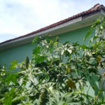 Terreno à venda em Tucuruvi, São Paulo, SP