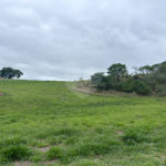 Terreno à venda no condomínio Portal Lamis I, Atibaia - SP