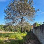 Terreno à venda em Chácaras São Bento, Valinhos, SP