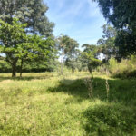 Terreno à venda em Campestre, Piracicaba, SP