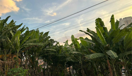 Terreno à venda em Tucuruvi, São Paulo, SP
