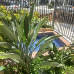 Apartamento à venda com 3 suítes em Vila Pompéia, São Paulo, SP