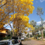 Casa em condomínio à venda com 4 suítes em Loteamento Portal do Sol I, Goiânia, GO