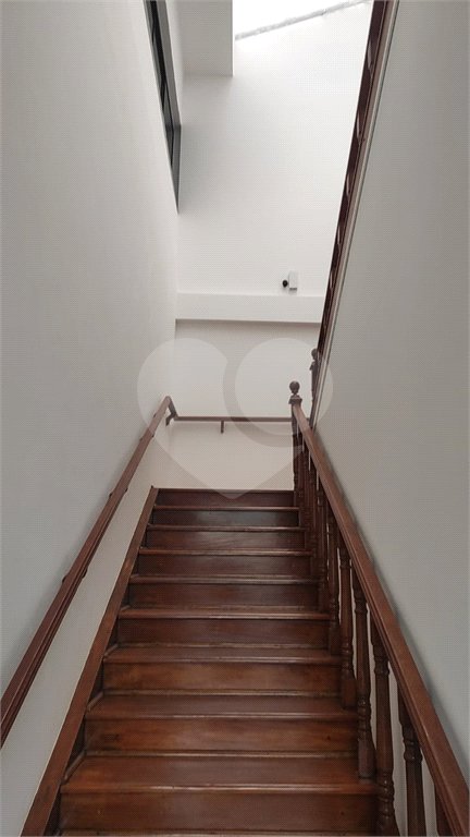 Apartamento para alugar com 1 quarto em Tucuruvi, São Paulo, SP