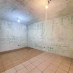 Casa - Ipiranga - 3 Quartos / Dormitórios - 2 Vagas - Venda / Compra - Avenida Ricardo Jafet