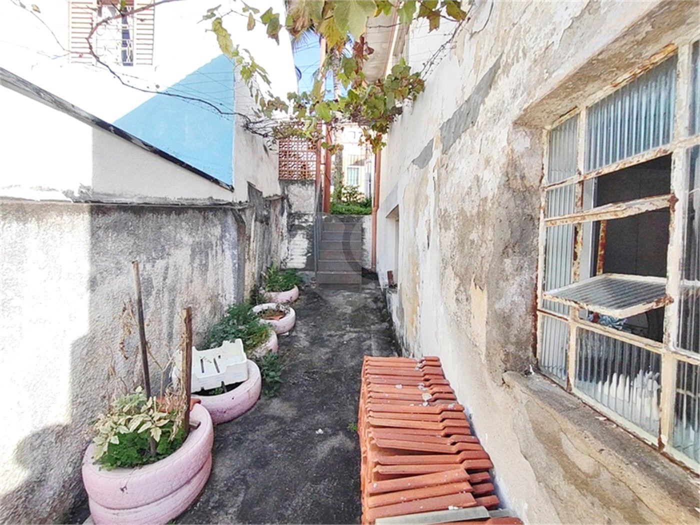 Terreno à venda com 3 quartos em Vila Mazzei, São Paulo, SP