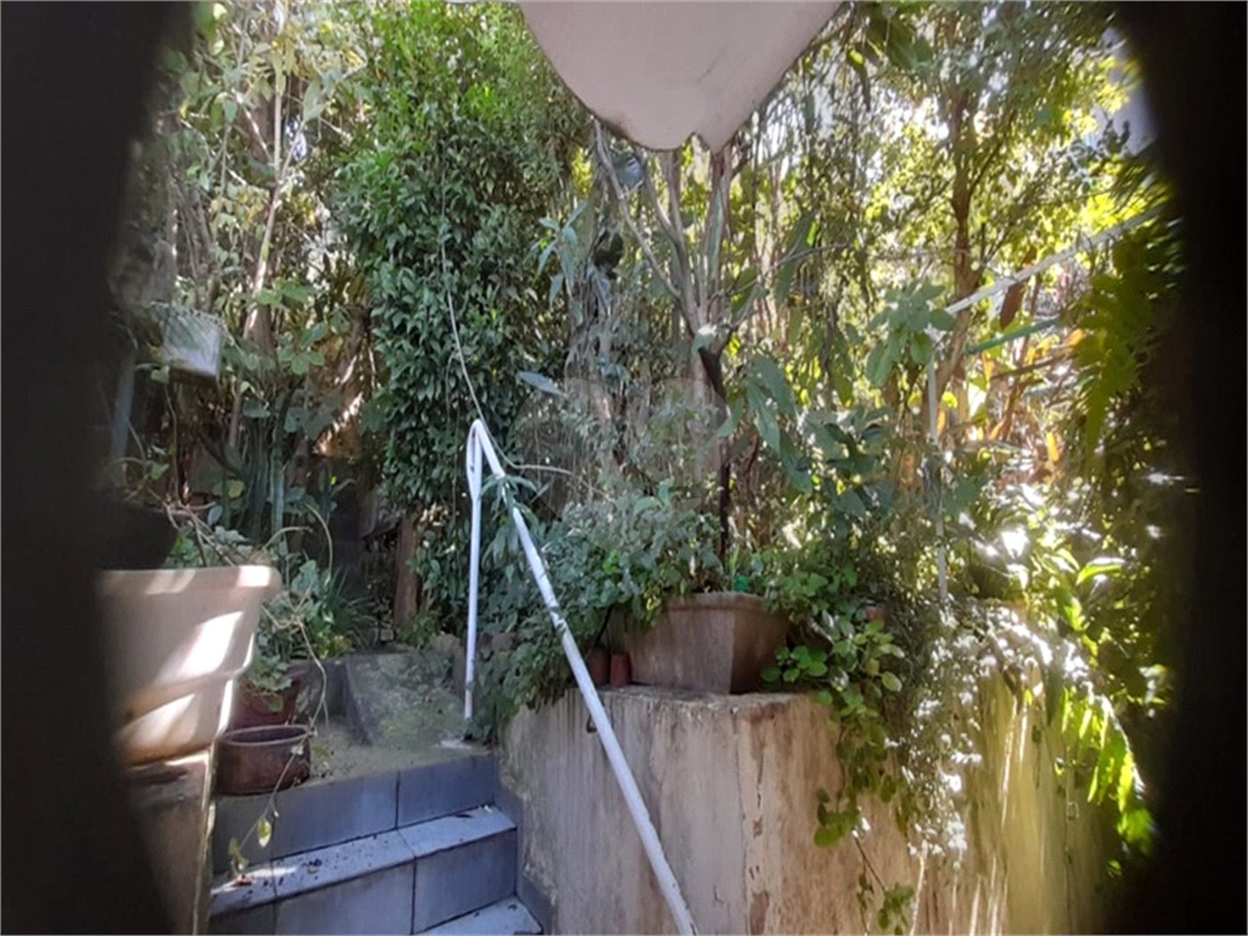 Casa à venda com 4 quartos, sendo 1 suíte,  em Limão, São Paulo, SP
