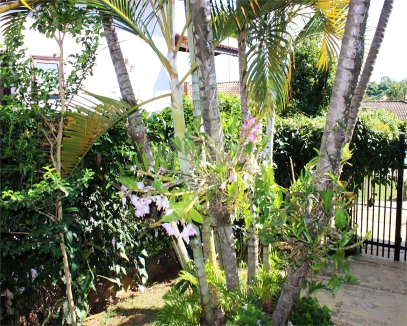 Casa à venda com 4 quartos, sendo 2 suítes, no condomínio Vinhas da Vista Alegre - Lado Sede, Vinhedo - SP