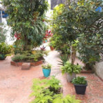 Casa Residencial à venda, Encruzilhada, Santos - CA0272.