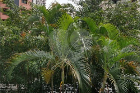 Apartamento à venda com 4 suítes em Santana, São Paulo, SP