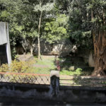 Terreno à venda em Santa Teresinha, São Paulo, SP