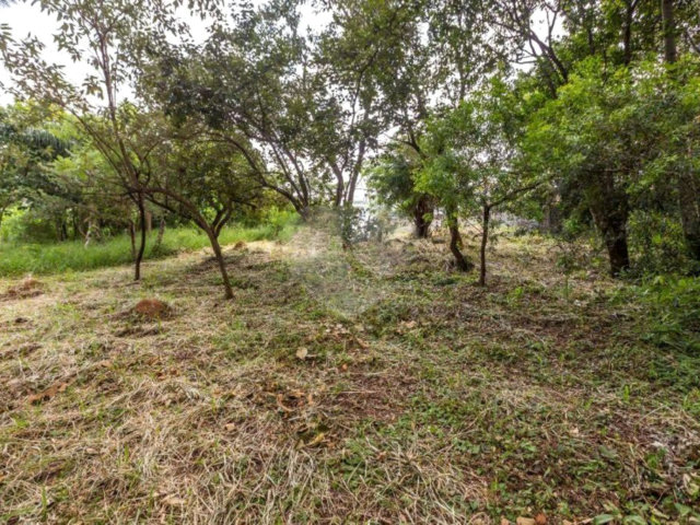 Terreno à venda em Retiro das Fontes, Atibaia, SP