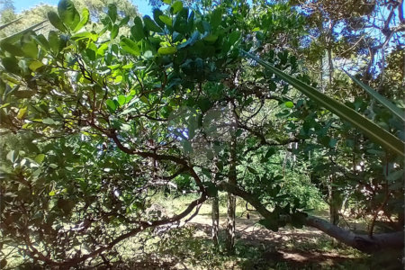 Casa à venda com 1 quarto em Vila Verde, Armação dos Búzios, RJ