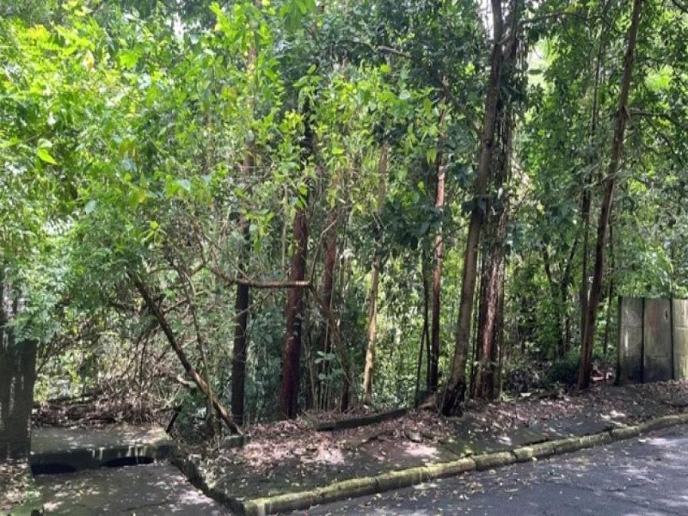 Terreno à venda em Jardim Ampliação, São Paulo, SP