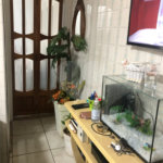 Sobrado à venda com 3 quartos, sendo 1 suíte, em Jardim São Paulo(zona Norte), São Paulo, SP