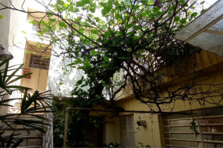 Sobrado à venda ou para alugar com 4 quartos, sendo 1 suíte,  em Brooklin Paulista, São Paulo, SP