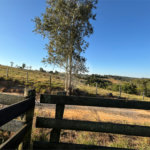 Sítio à venda com 3 quartos, sendo 1 suíte,  em Canta Galo, Itapetininga, SP