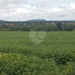 Fazenda à venda com 2 quartos em Canabrava, João Pinheiro, MG