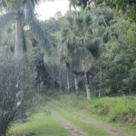 Chácara à venda com 3 quartos, sendo 1 suíte, em Chácaras Copaco, Arujá, SP