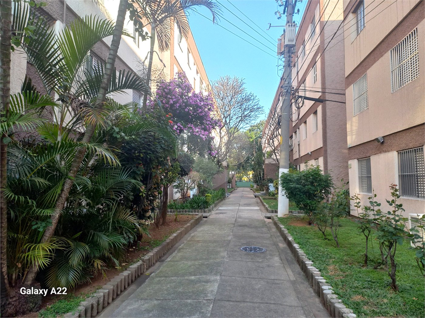 Apartamento à venda com 2 quartos em Parque Residencial da Lapa, São Paulo, SP