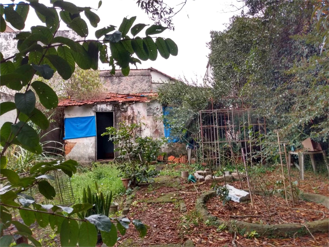Sobrado à venda com 3 quartos em Vila Guilherme, São Paulo, SP