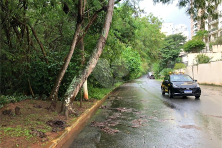 Apartamento à venda com 3 quartos, sendo 1 suíte, em Jardim Ampliação, São Paulo, SP