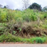 Terreno à venda em Luiz Fagundes, Mairiporã, SP
