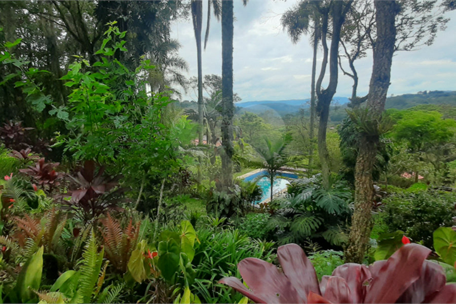 Casa Térrea à venda com 4 quartos, sendo 2 suítes, em Serra da Cantareira, Mairiporã, SP