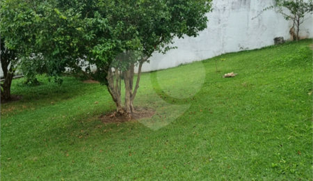 Terreno à venda em Vila Albertina, São Paulo, SP