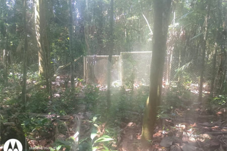 Terreno à venda em Dos Finco, São Bernardo do Campo, SP