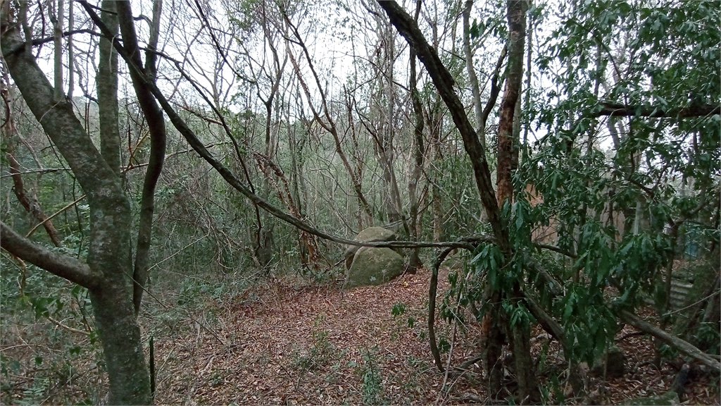 Terreno à venda em Chácaras Alpina, Valinhos, SP