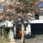 Casa à venda com 4 suítes no condomínio Alphaville Dom Pedro 3, Campinas - SP