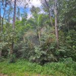 Terreno à venda em Chácara Recreio Lagoa dos Patos, Jundiaí, SP