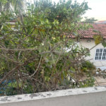 Casa à venda com 4 suítes em Barra da Tijuca, Rio de Janeiro, RJ