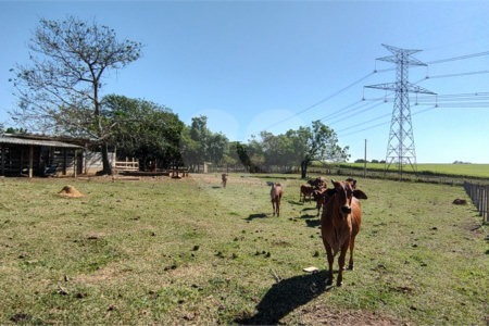 Sítio à venda com 2 suítes em Buru, Salto, SP