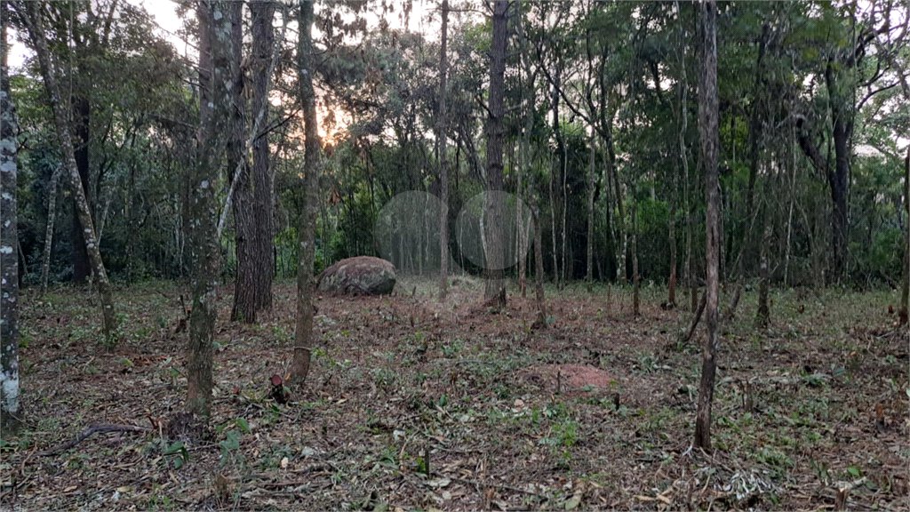 Terreno à venda em Roseira, Mairiporã, SP