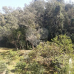 Apartamento à venda com 3 quartos, sendo 1 suíte, em Vila Domingues, Votorantim, SP