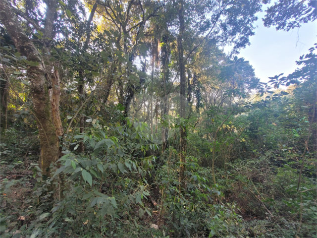 Terreno à venda em Serra da Cantareira, Mairiporã, SP