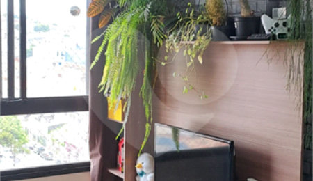 Apartamento à venda com 2 quartos em Vila Guilherme, São Paulo, SP