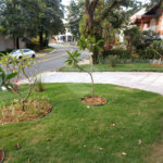 Sobrado à venda com 5 suítes no Centro, Vinhedo, SP