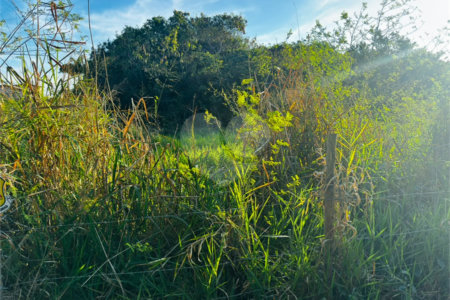 Terreno à venda em Marina, Armação dos Búzios, RJ