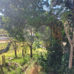 Chácara à venda com 3 quartos, sendo 1 suíte, no Centro, Nazaré Paulista, SP