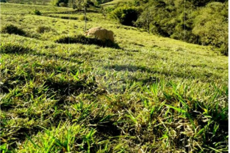 Chácara à venda no Centro, Monte Sião, MG